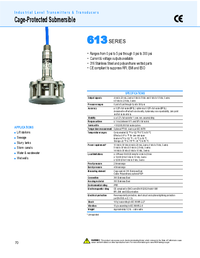 Thumbnail of document Data Sheet - 613 Gage-Protected Submersible Level Transducer